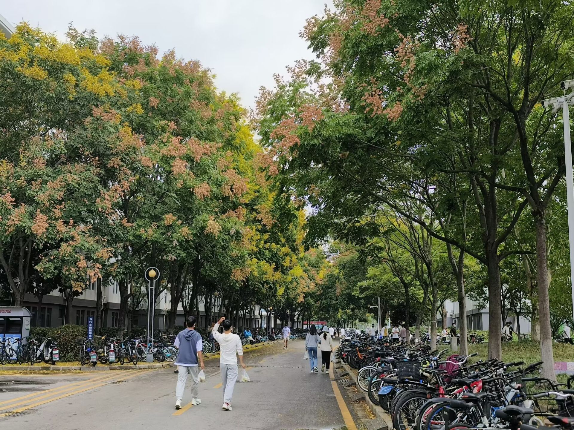 文学